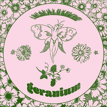 Geranium - Geranium