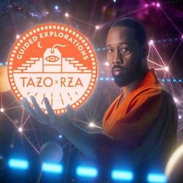 RZA - Guided Explorations