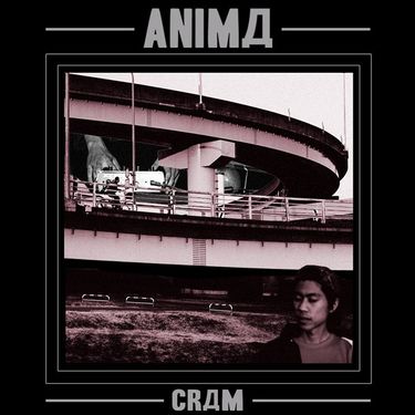 Cram - ANIMД