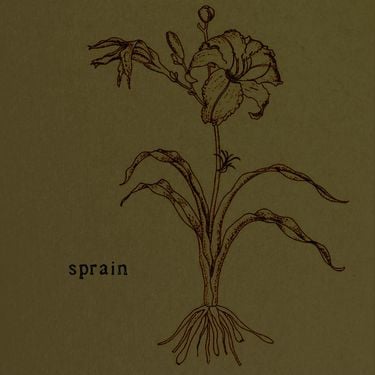 Sprain - Sprain
