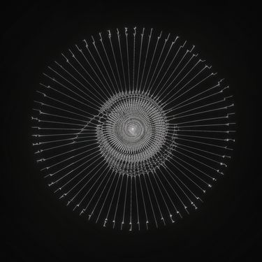 The Kite String Tangle - C()D3X