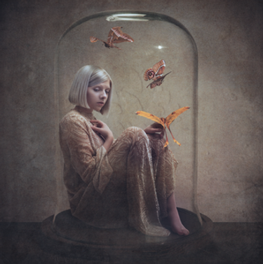 AURORA - Winter Bird