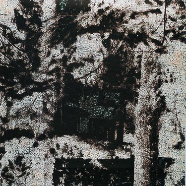 Celer - Salvaged Violets
