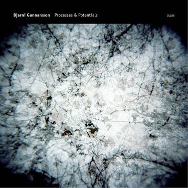 Bjarni Gunnarsson - Processes & Potentials