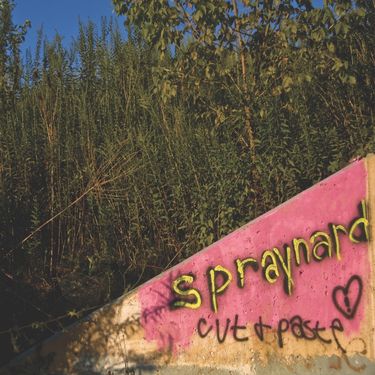 Spraynard - Cut And Paste