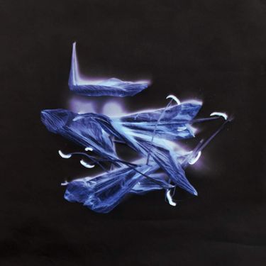 Murials - STEMS
