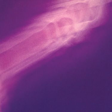 This Heat - Repeat