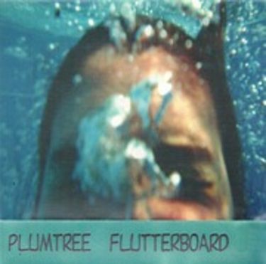 Plumtree - Flutterboard