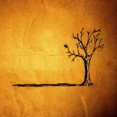 Jon Foreman - Fall