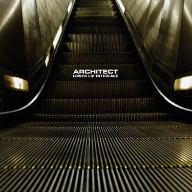 Architect - Lower Lip Interface