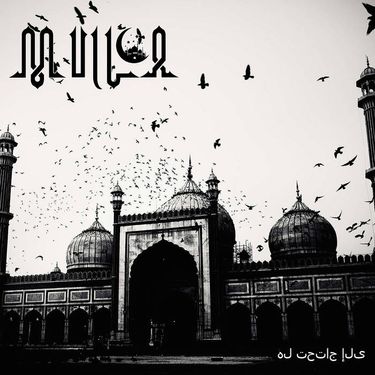 Mulla - هل تحتاج إلى