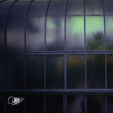 Spaze Windu - Opaque