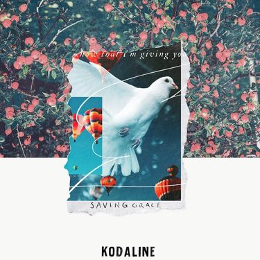 Kodaline - Saving Grace