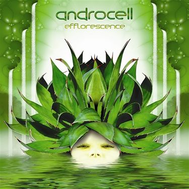 Androcell - Efflorescence