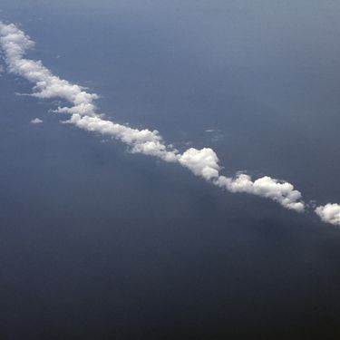 Celer - Jima