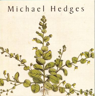 Michael Hedges - Taproot