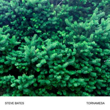 Steve Bates - Tornamesa