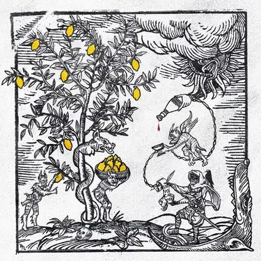 Mach-Hommy - Mach's Hard Lemonade - Reviews - Album of The Year
