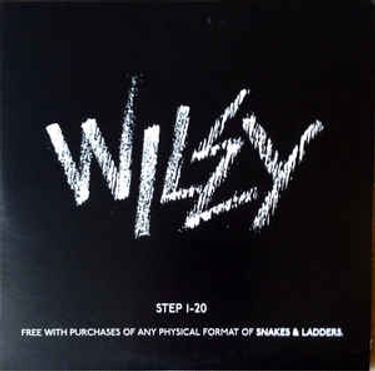 Wiley - Step 1-20