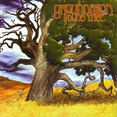 Groundation - Young Tree
