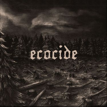 Ecocide - When Will It End?
