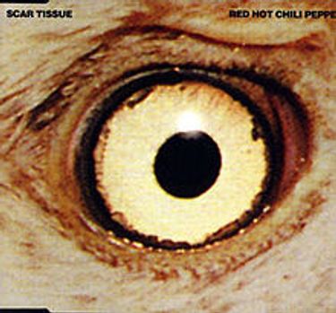 Red Hot Chili Peppers /Scar Tissue /レコード Red Hot Chili Peppers - Scar Tissue (Single) - Reviews - Album of