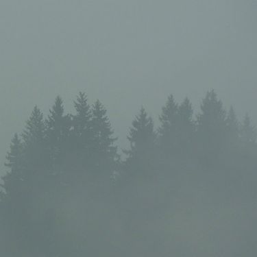Max Loderbauer - Donnerwetter