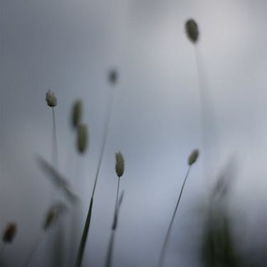 Peter Broderick - Float