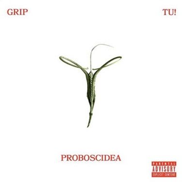 GRIP - PROBOSCIDEA