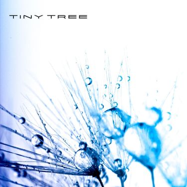 Tiny Tree - Embolism
