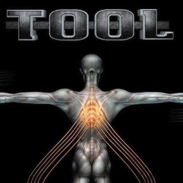 TOOL - Salival