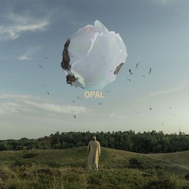 Snavs - Opal