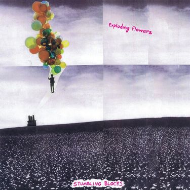 Exploding Flowers - Stumbling Blocks