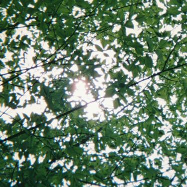 rei brown - Bubble