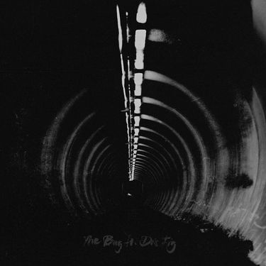 The Bug - You