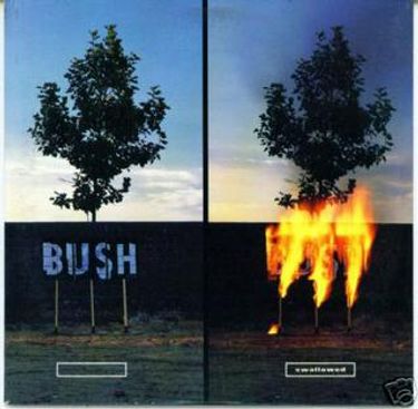 Bush - Swallowed
