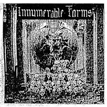 Innumerable Forms - Despotic Rule