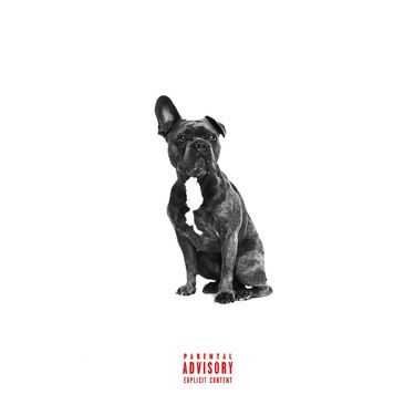 Octavian - Alpha