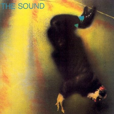 The Sound - Thunder Up