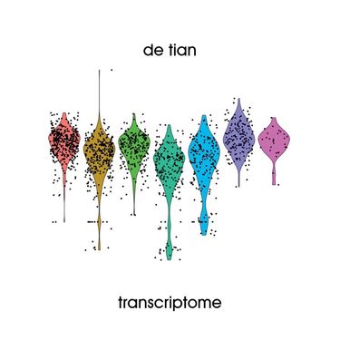 De Tian - Transcriptome