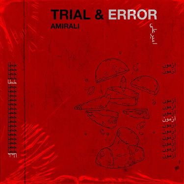 Amirali - Trial & Error