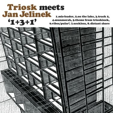 Jan Jelinek & Triosk - 1+3+1