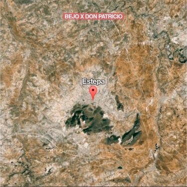 Bejo - Estepa