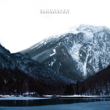 Bloodbark - Bonebranches