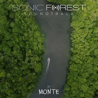 Monte - Sonic Forest