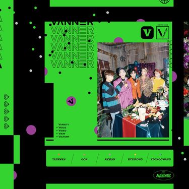 VANNER - V
