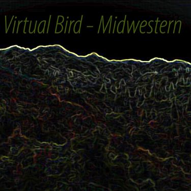 Virtual Bird - Midwestern