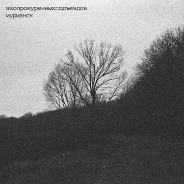 Эхопрокуренныхподъездов - Мурманск