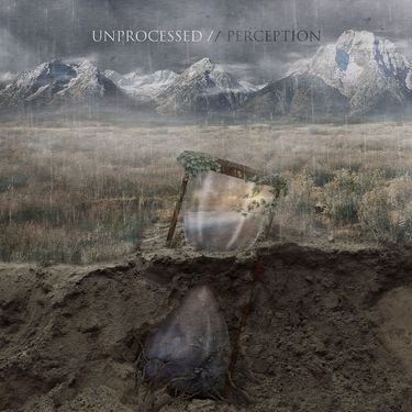 Unprocessed - Perception
