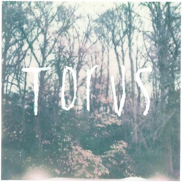 Torus - Torus